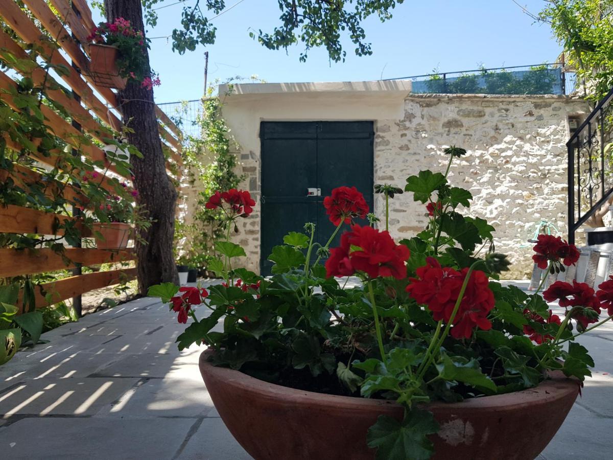 Villa Grigor بيرات المظهر الخارجي الصورة